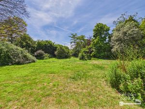 Garden- click for photo gallery